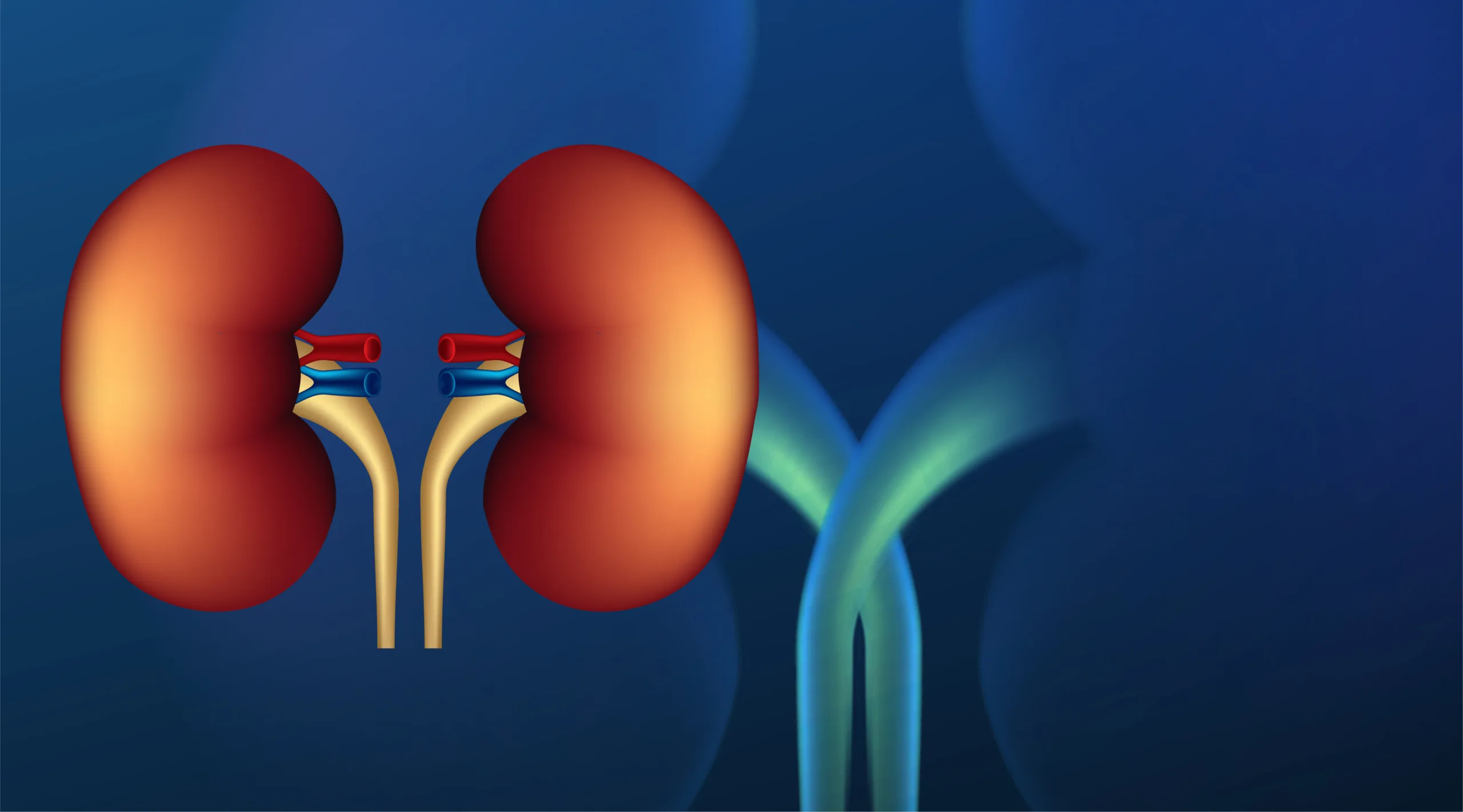 12 things that can help cleanse your kidneys