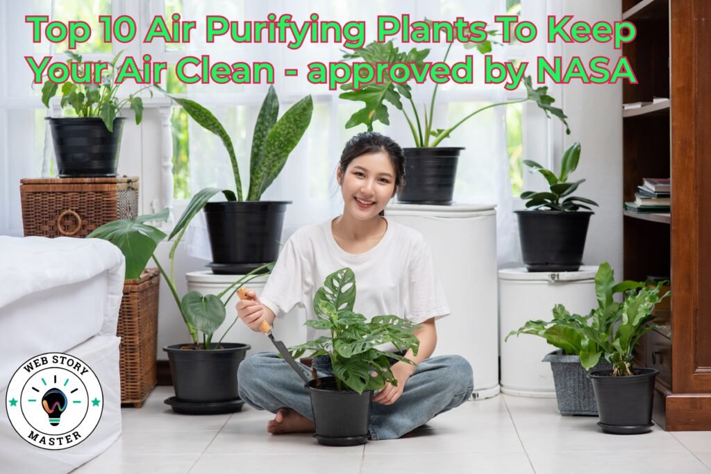 Top 10 Air Purifying Plants To Keep Your Air Clean - Approved By NASA